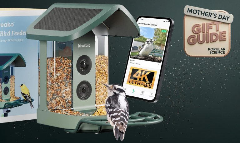 Kiwibit bird feeder camera