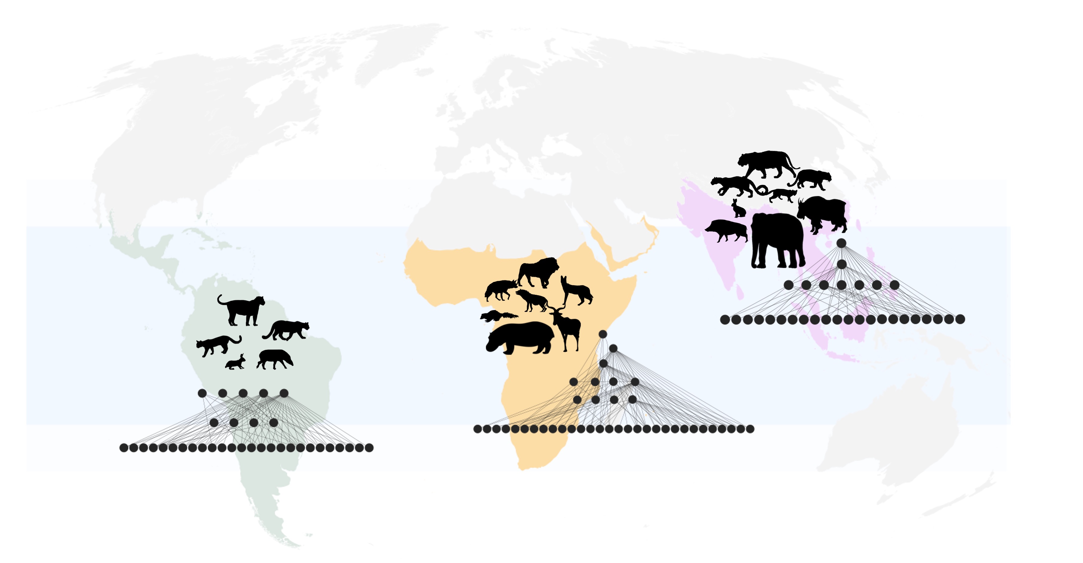 a map showing where large animals were distributed