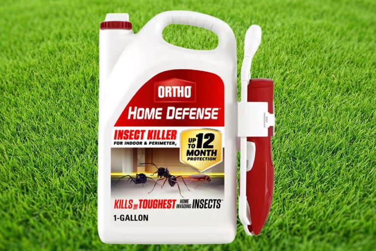 Ortho Home Defense Insect Killer indoor outdoor on sale during The Home Depot's Spring Black Friday sale