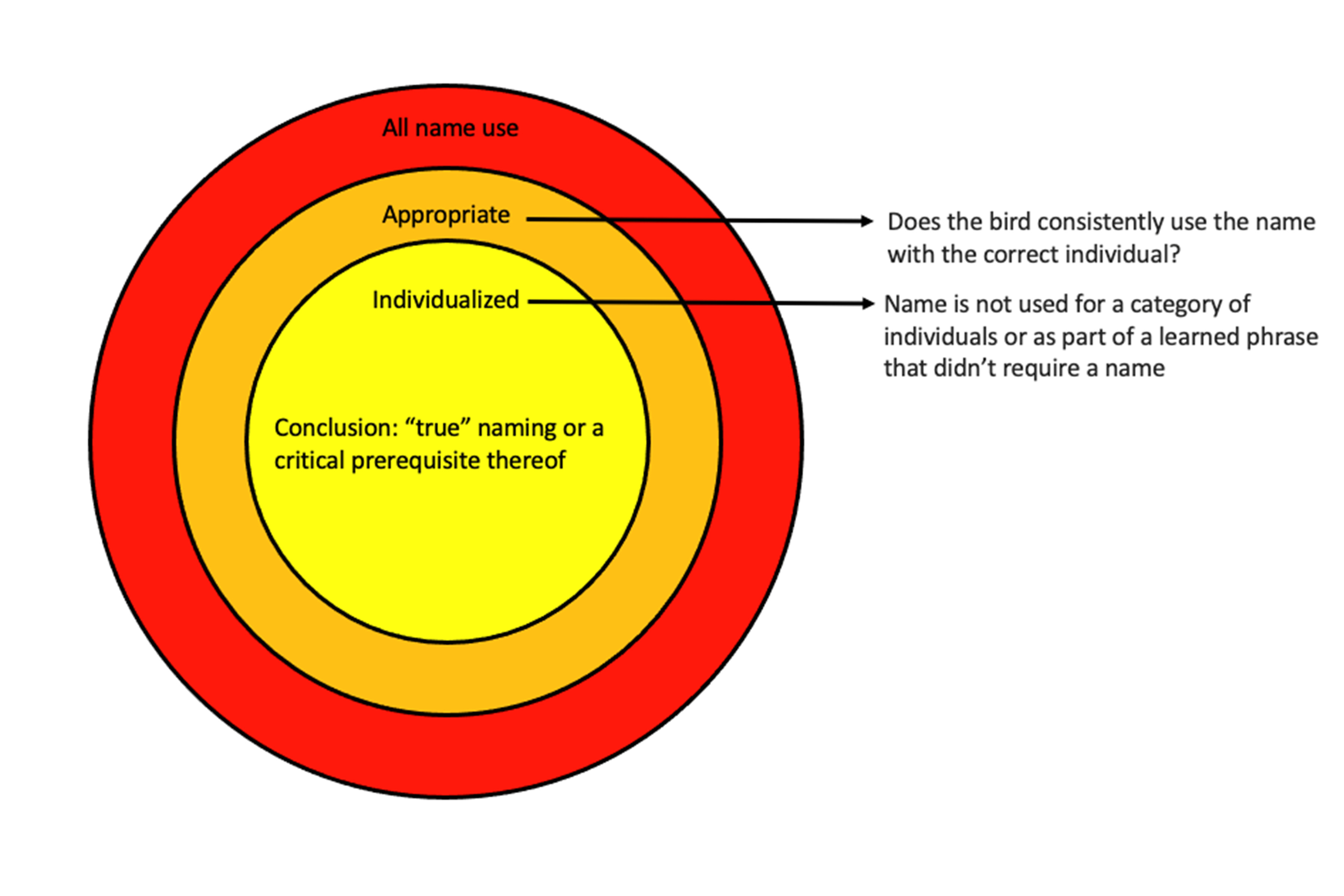 A sample of parrots living with humans showed the ability to correlate names with individuals, but also to use proper names in ways humans typically don’t. 