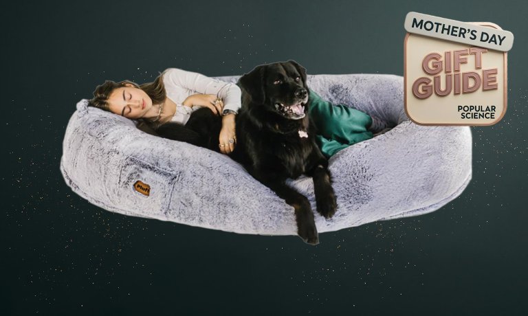 Plufl human dog bed