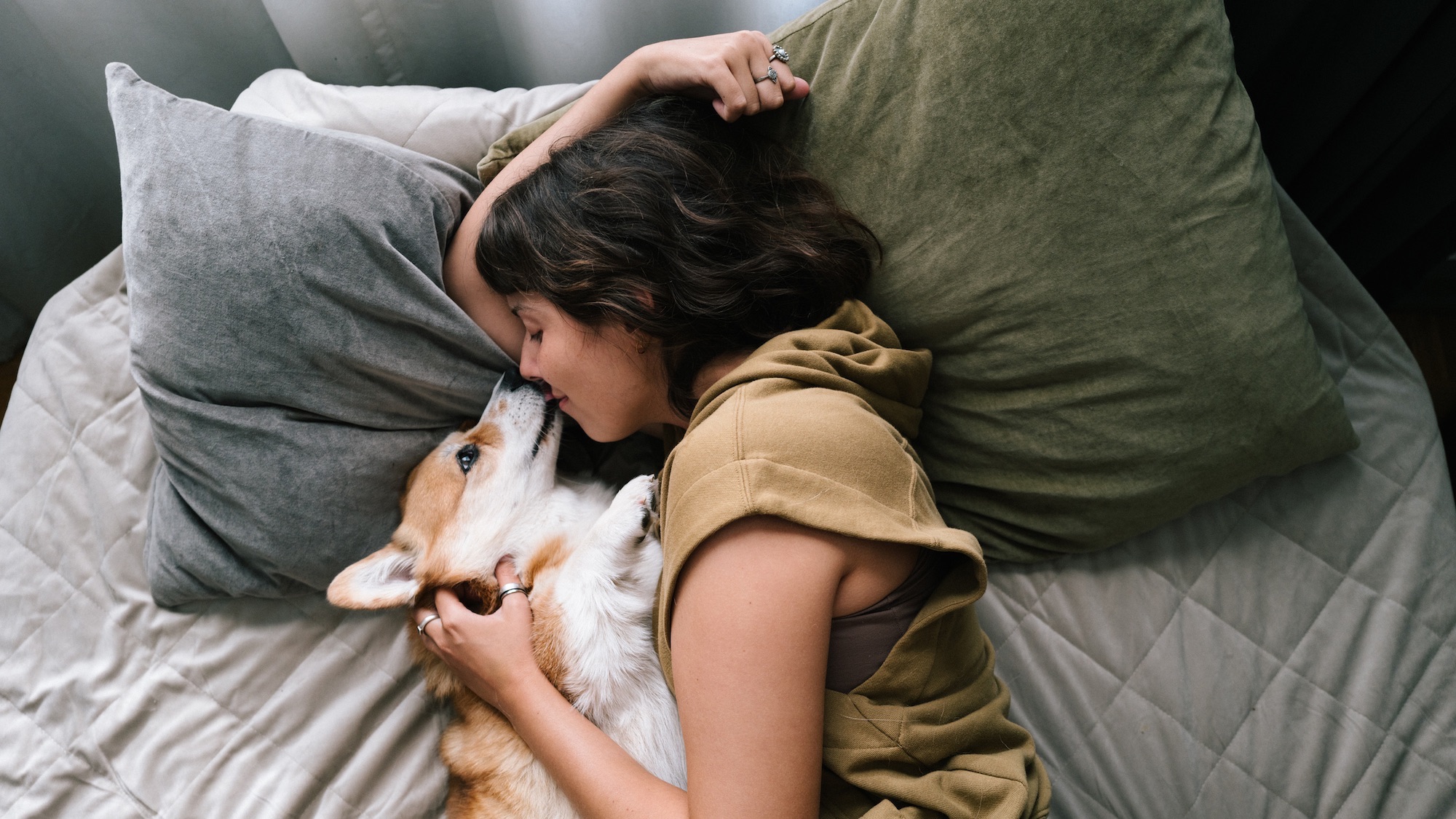 young woman relax Comfortable with cute dog in bed,