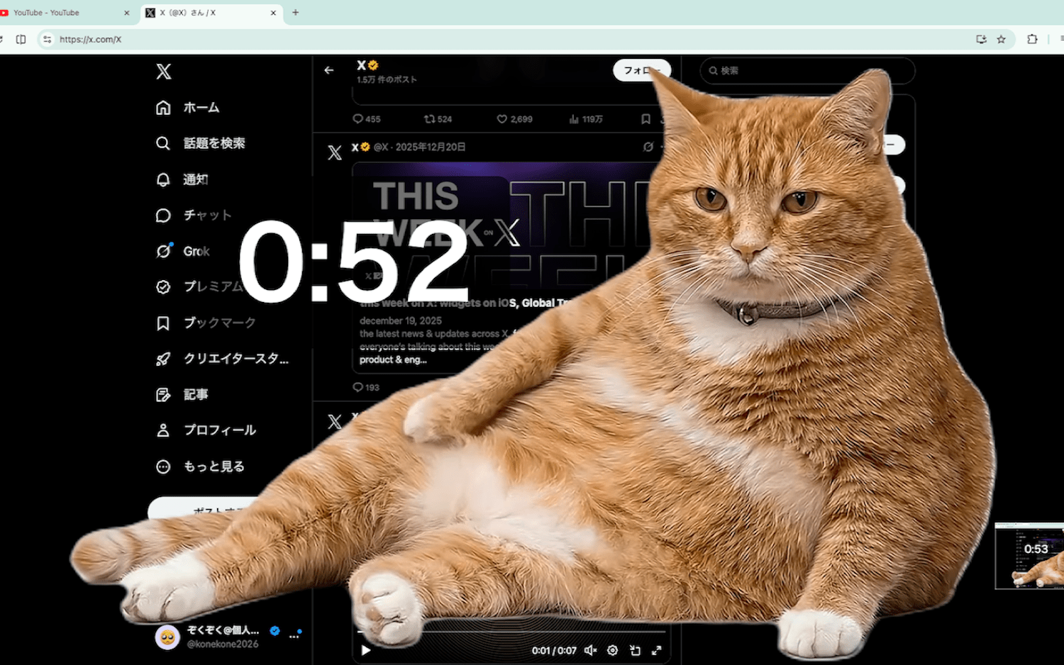 Cat superimposed on X homepage