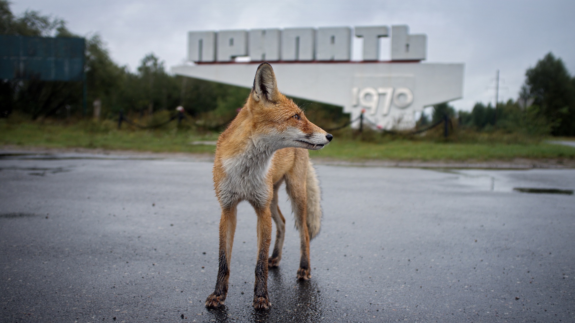Ghost town of Pripyat, near the Chernobyl nuclear reactor.