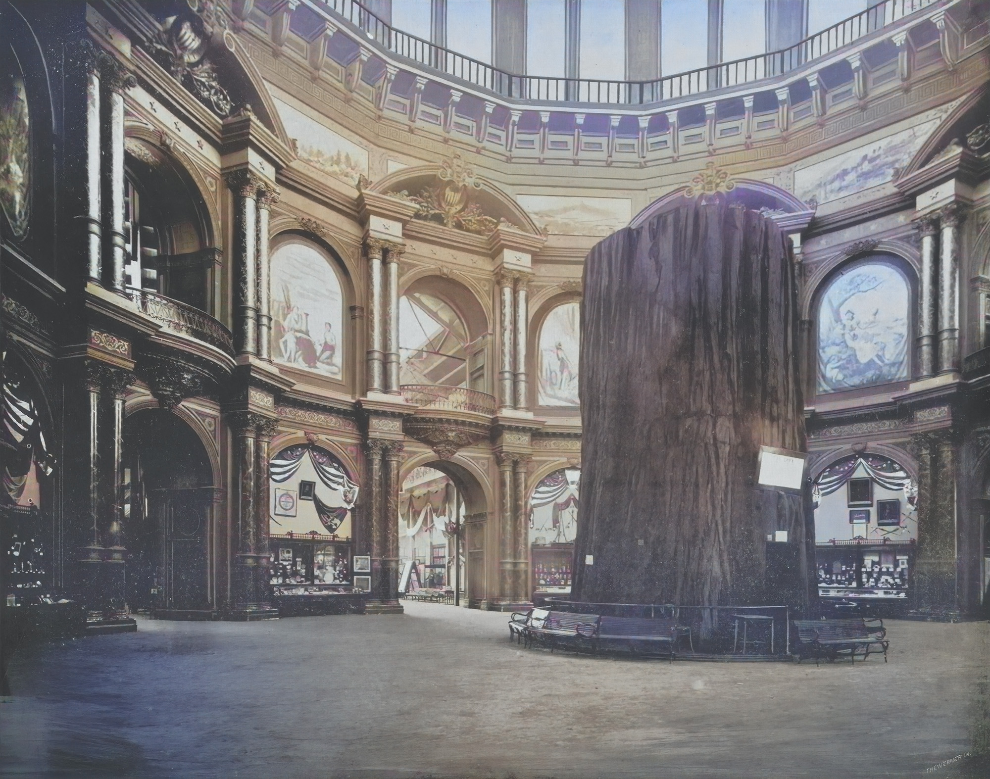 A massive tree trunk of a giant sequoia surrounded by benches in an elaborate, domed hall.