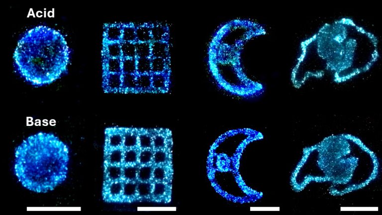Glowing blue algae arranged in different shapes