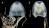 Two views of new box jellyfish species with 5 cm size comparison reference