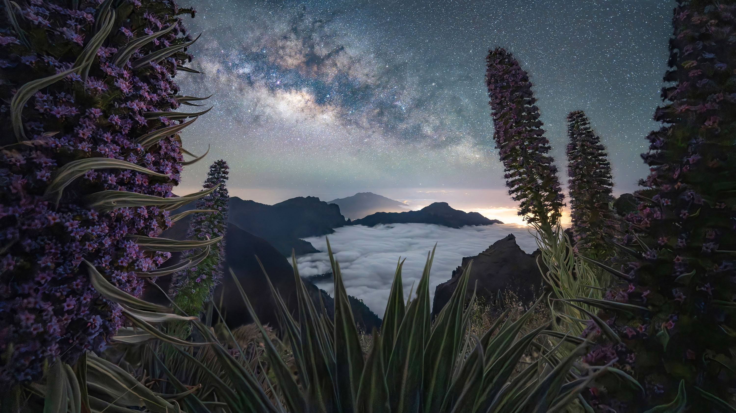This panorama was captured at the highest point of the volcanic island of La Palma, a location defined by its unique terrain and exceptional night sky conditions. The lack of ambient light made the process more demanding, requiring extensive focus stacking to achieve sharpness across the entire scene, but it also provided ideal conditions for astrophotography. I chose to create a panoramic composition to include the blooming pink Tajinaste flowers, an endemic species of the island, using them to frame the full arc of the Milky Way’s core. The summit itself forms a vast crater, offering expansive views across the island, often rising above a layer of clouds. Although it was already early summer and nearing the end of the blooming season, I was fortunate to find a few flowers still in good condition and positioned perfectly for the composition I had envisioned. This image represents both careful planning and timing, and I’m especially pleased with the result and honored to have it selected for the Milky Way Photographer of the Year collection.