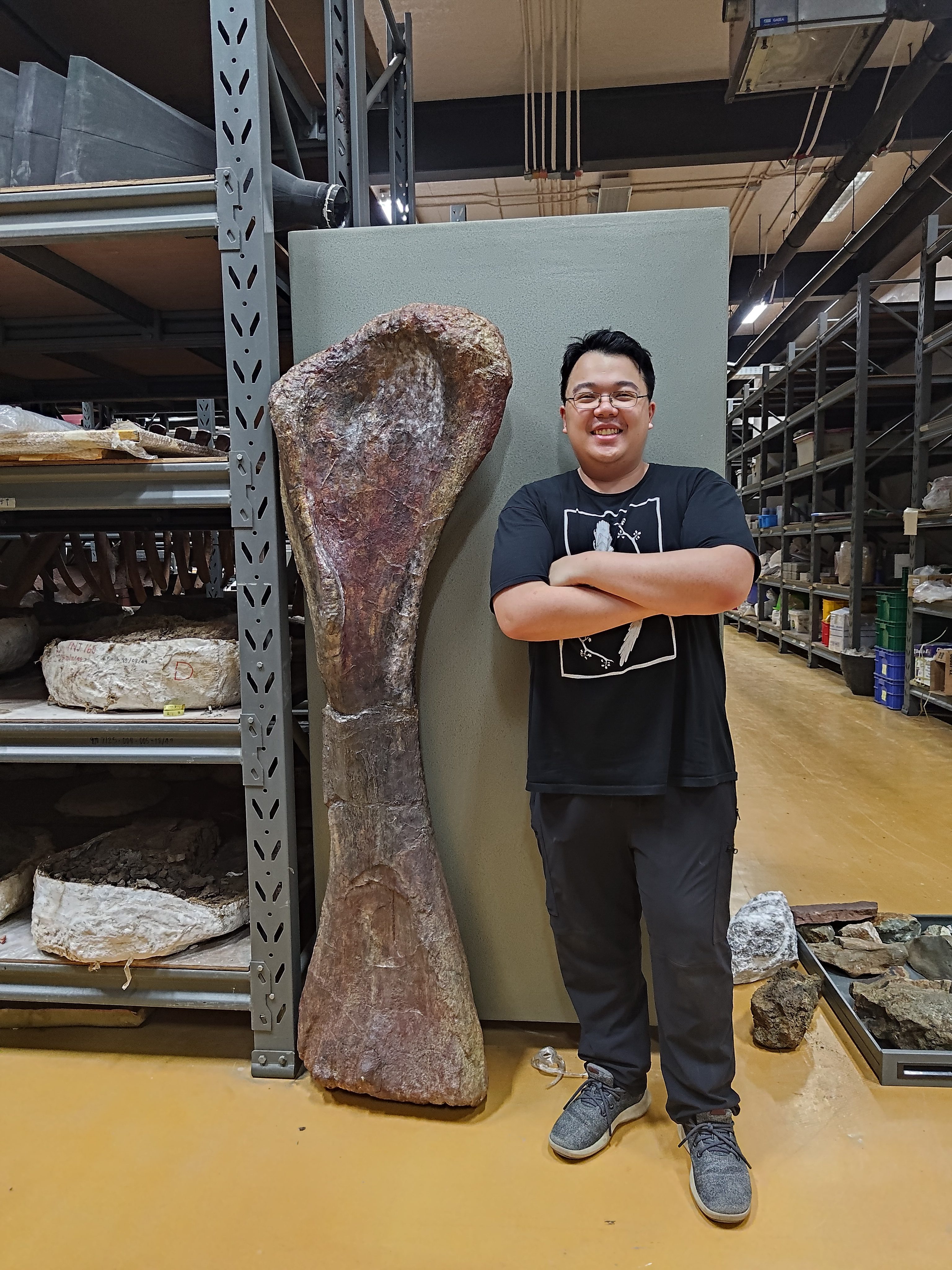 a man stands in front of a long dinosaur leg bone