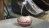 Drill boring hole in ancient mollusk shell in laboratory