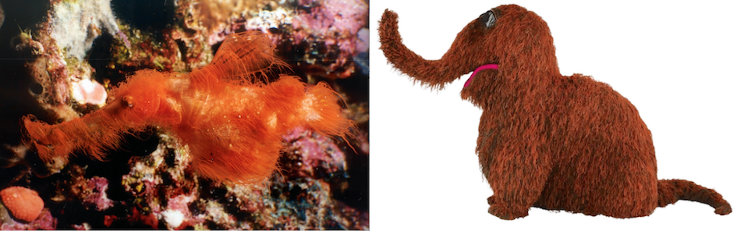 Side by side images of the hairy ghost pipefish and Mr. Snuffleupagus