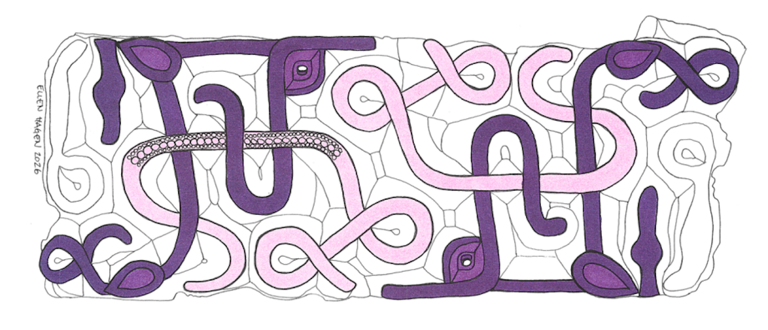 Drawing of the decor in the main field of the fitting from Austrått. The animal figure is drawn with violet color. The ribbon that has been thrown into the figure has been given a pink color. Credit: Ellen Hagen / Archaeological Museum / University of Stavanger