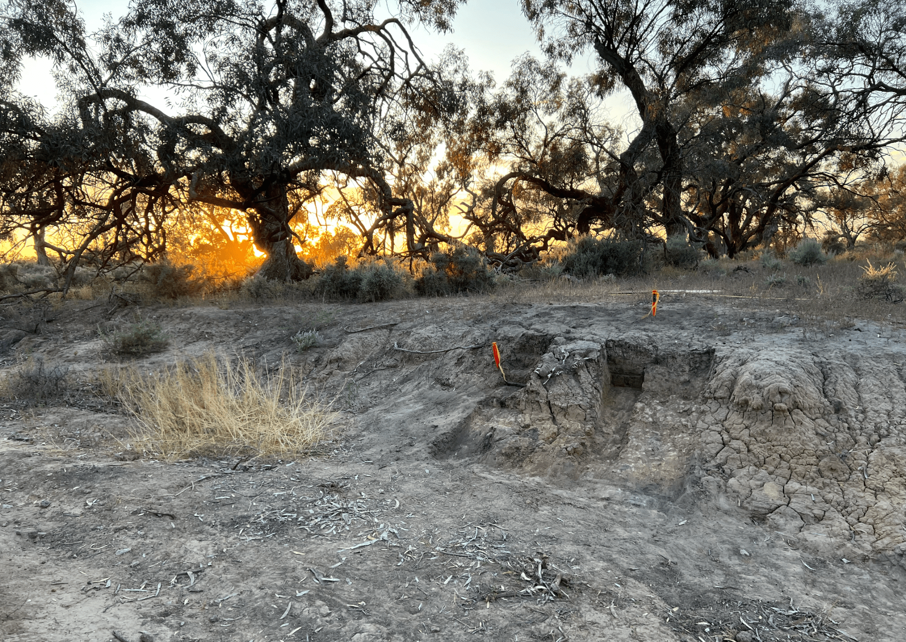 an outcropping of rock at sunset