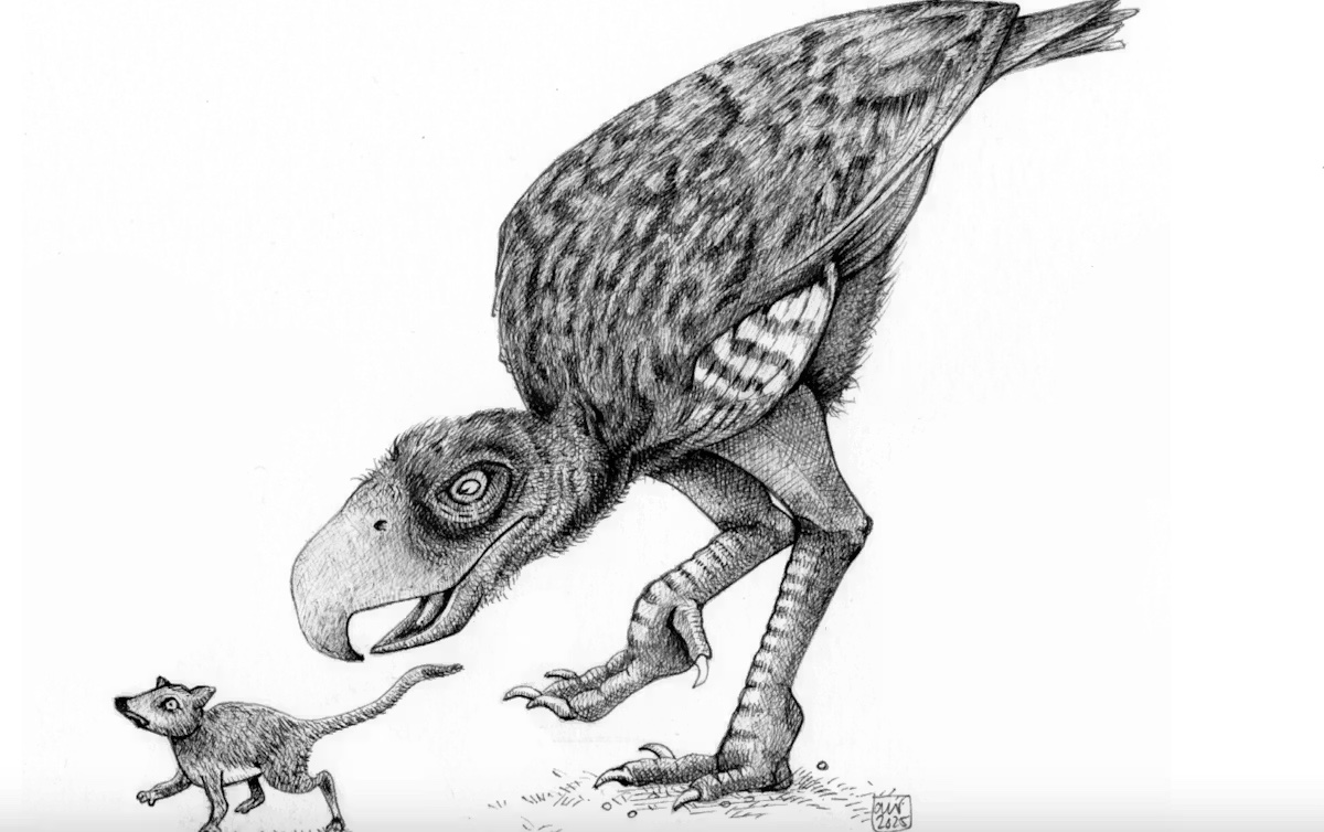 dinosaur and rodent