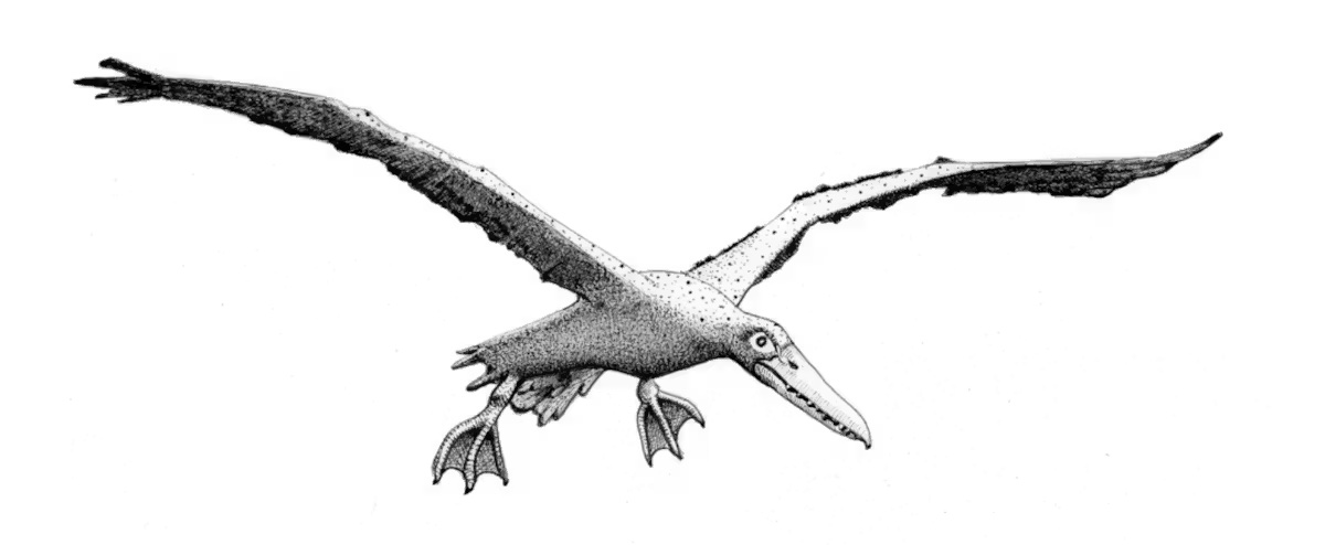 bird dinosaur