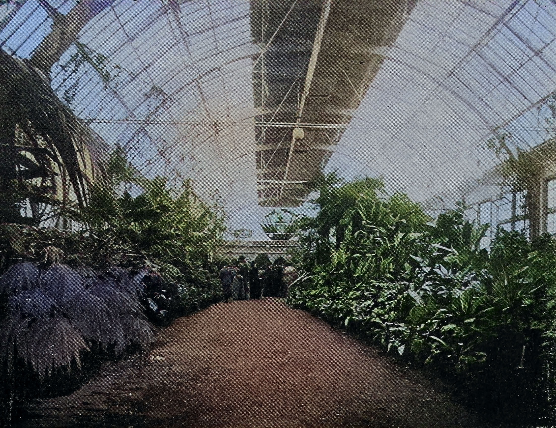 A large window-filled greenhouse with lots of greenery a crowd of Victorian visitors can be seen towards the back.