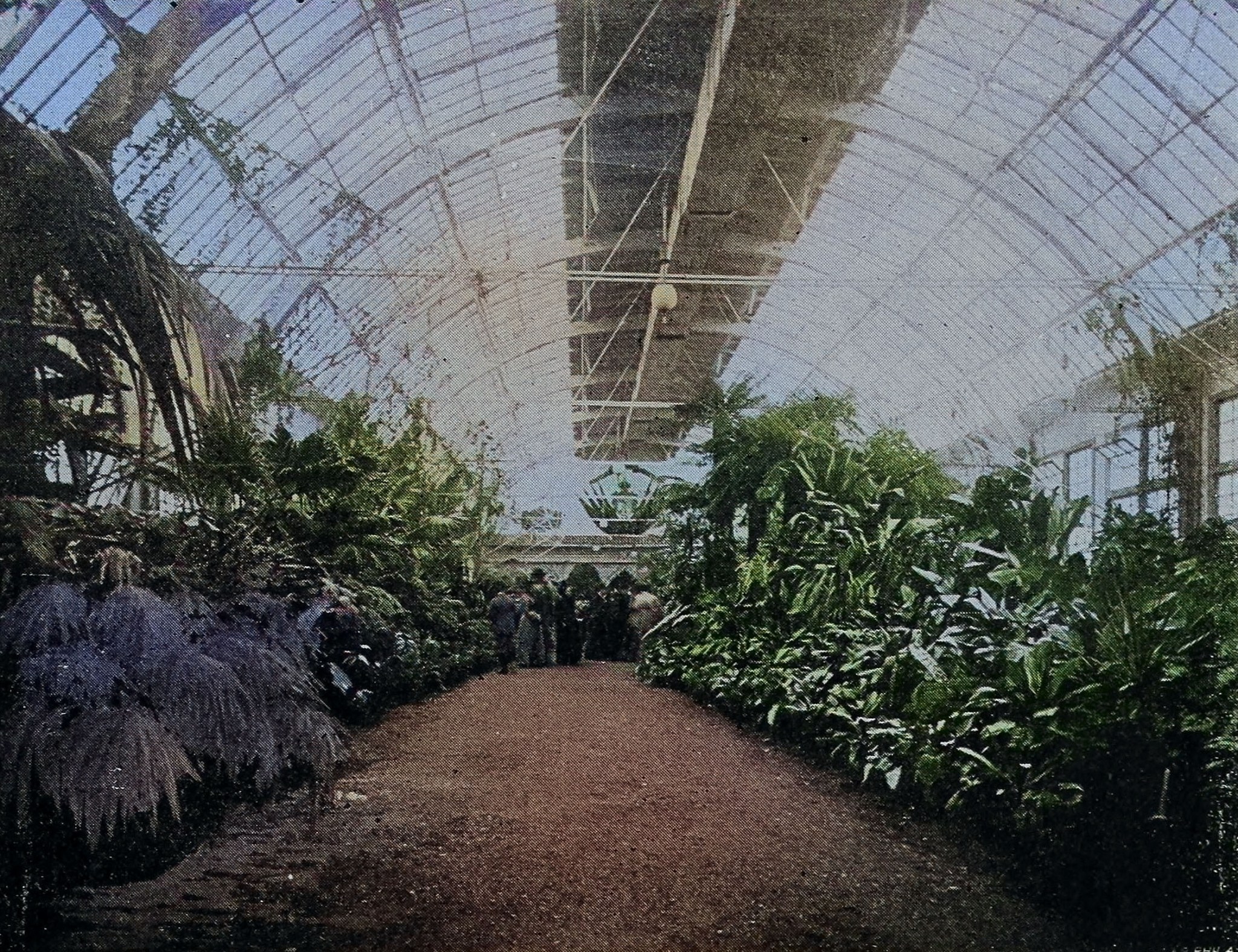 Post image 6