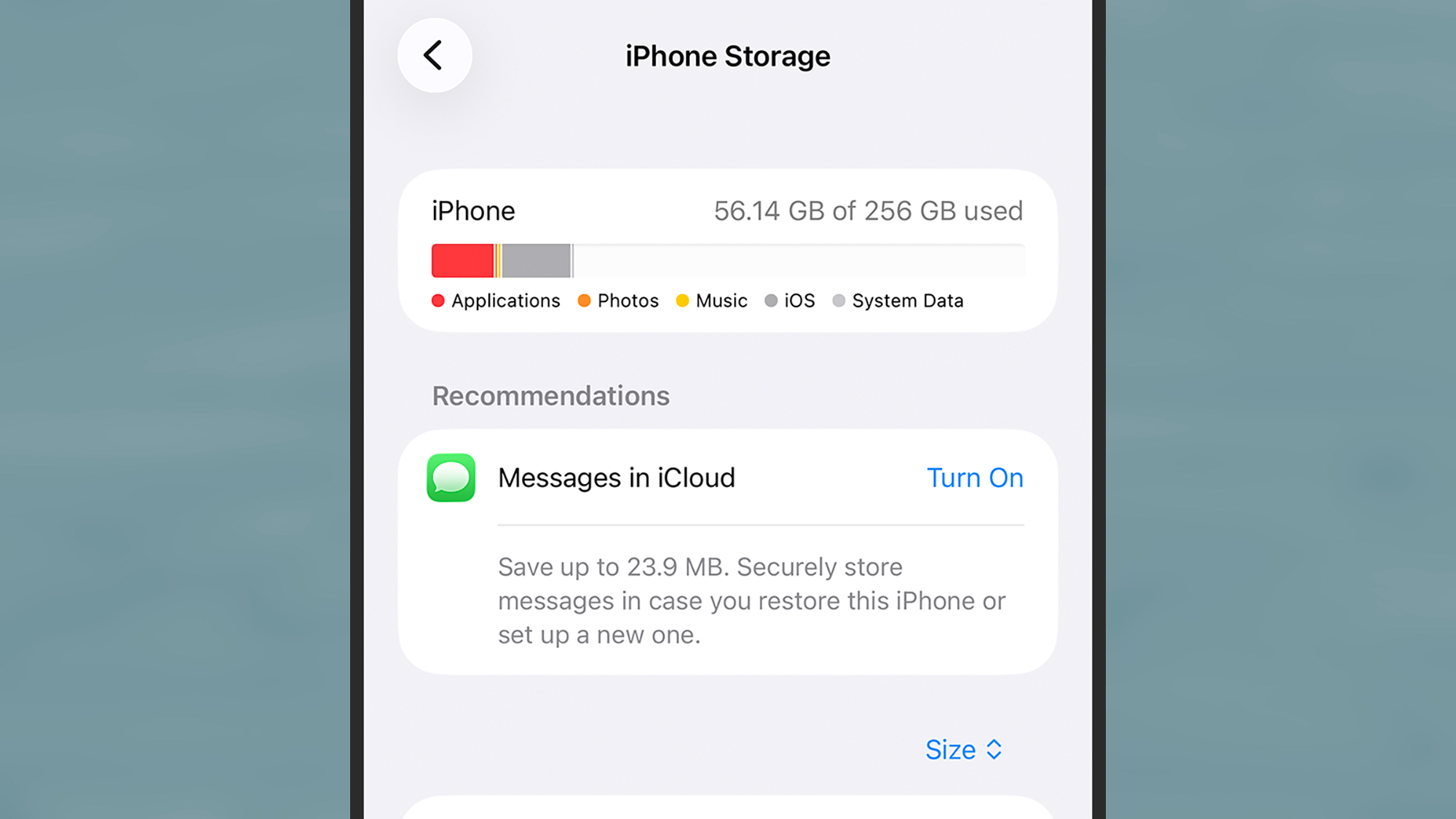 screenshot of iphone storage