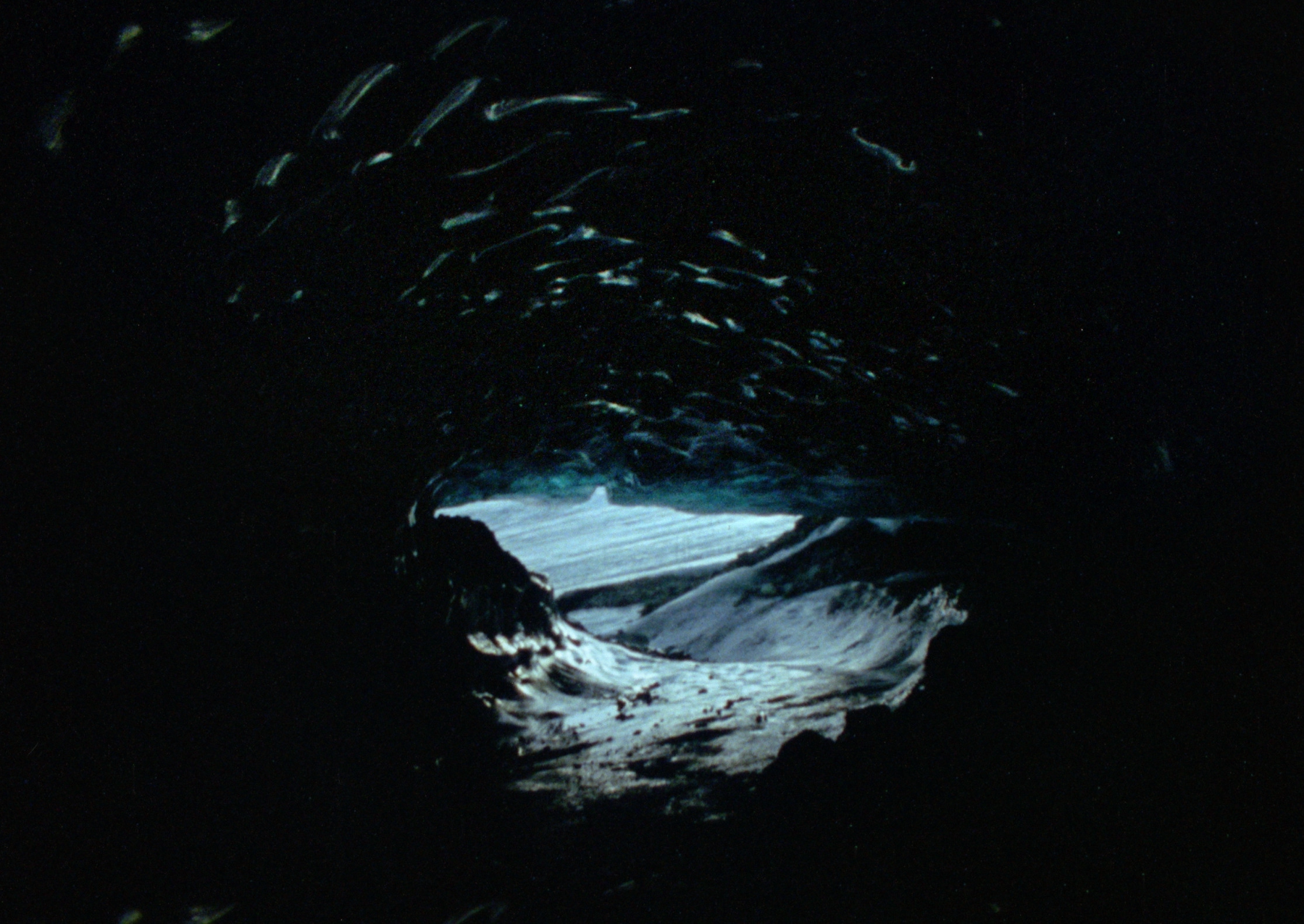 Post image 12