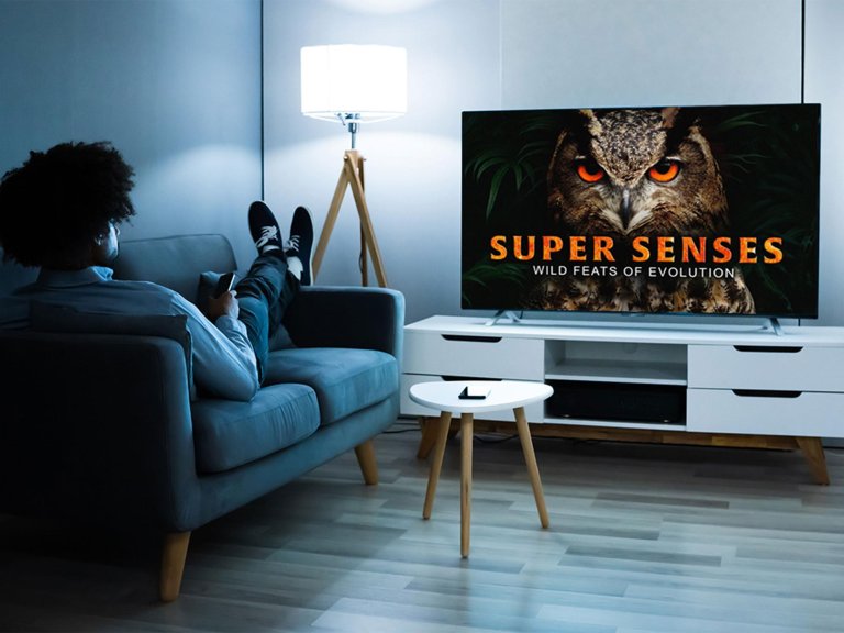 Primary image for give your brain a watchlist upgrade with this lifetime documentary streamer Stack Commerce sponsored deal