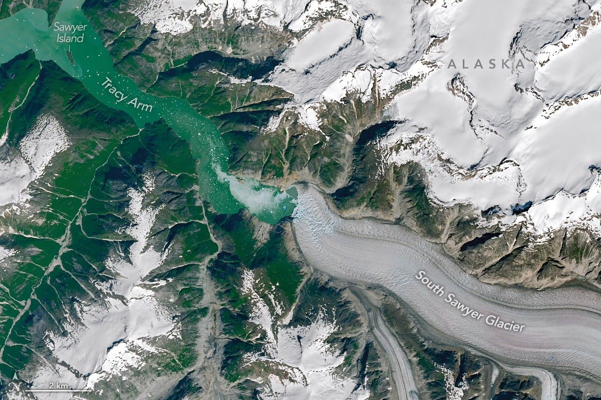 a satellite image showing green vegetation on a fjord