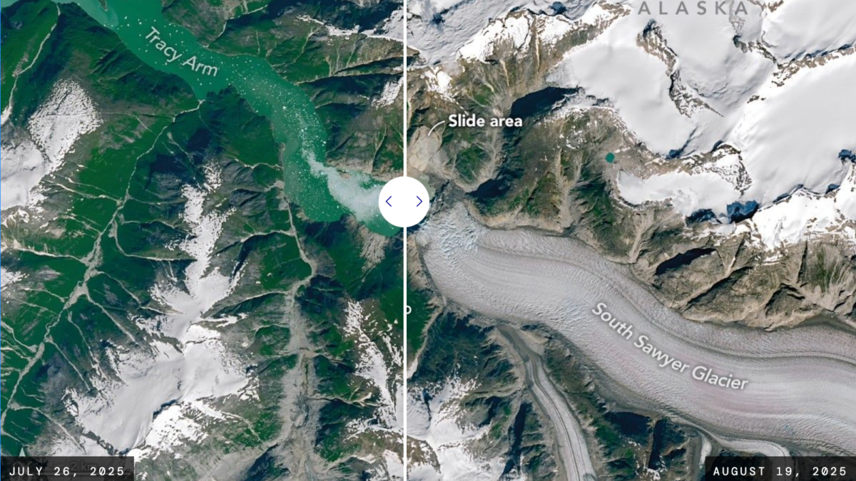 NASA satellite images show how a massive tsunami in Alaska changed the landscape forever