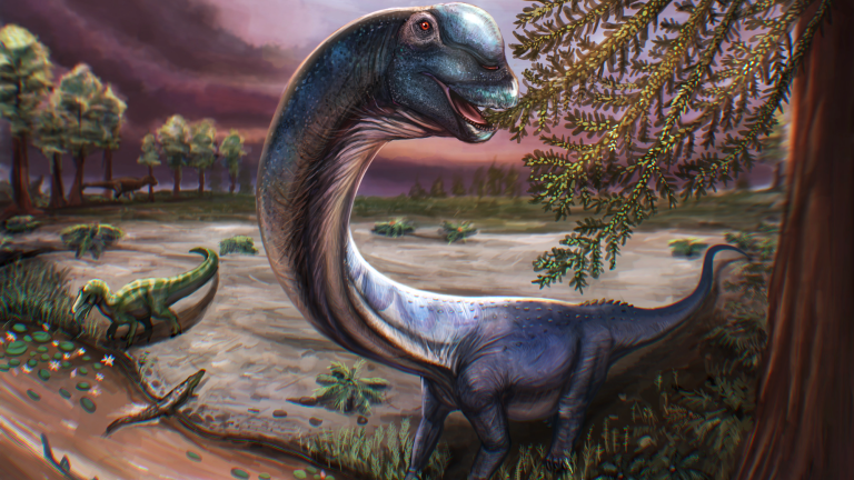 an illustration of a long-necked dinosaur standing by a river