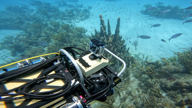 a robot scouring a reef