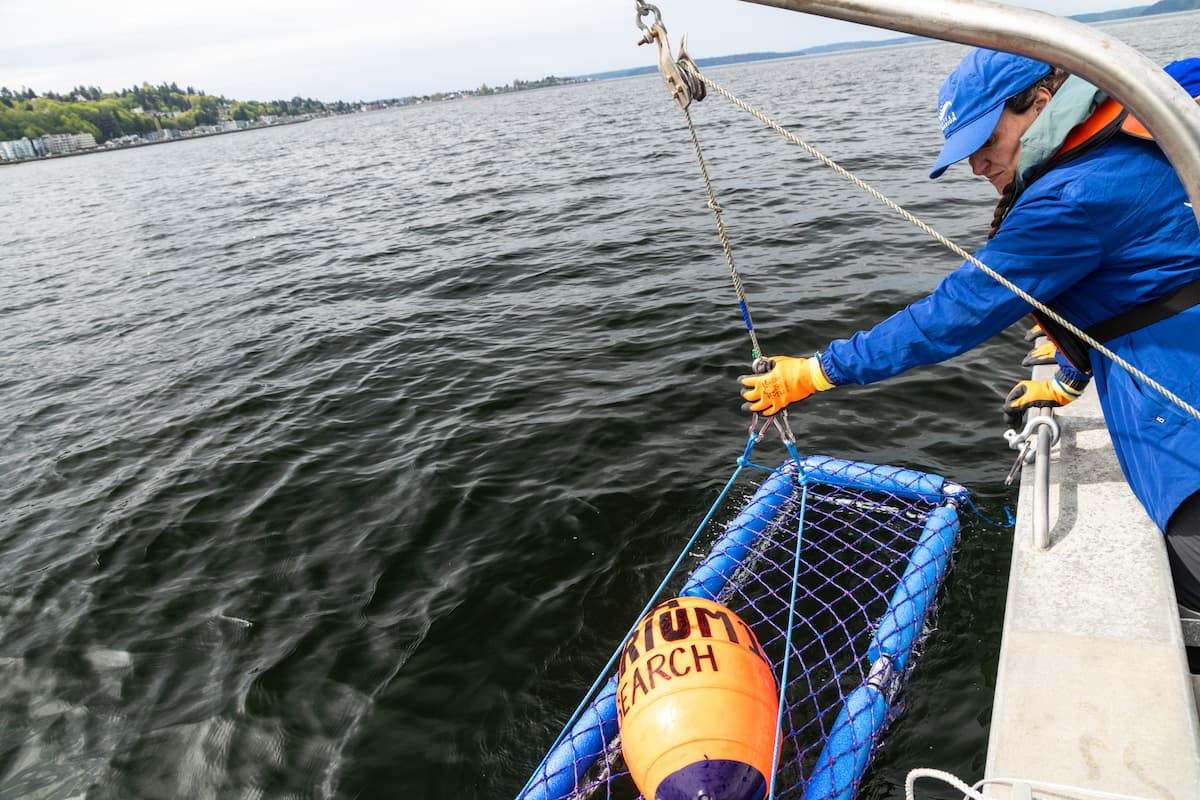 a woman in a blue jacked lowers a blue basket off the side of a boat with an orange buoy marked "aquarium research"