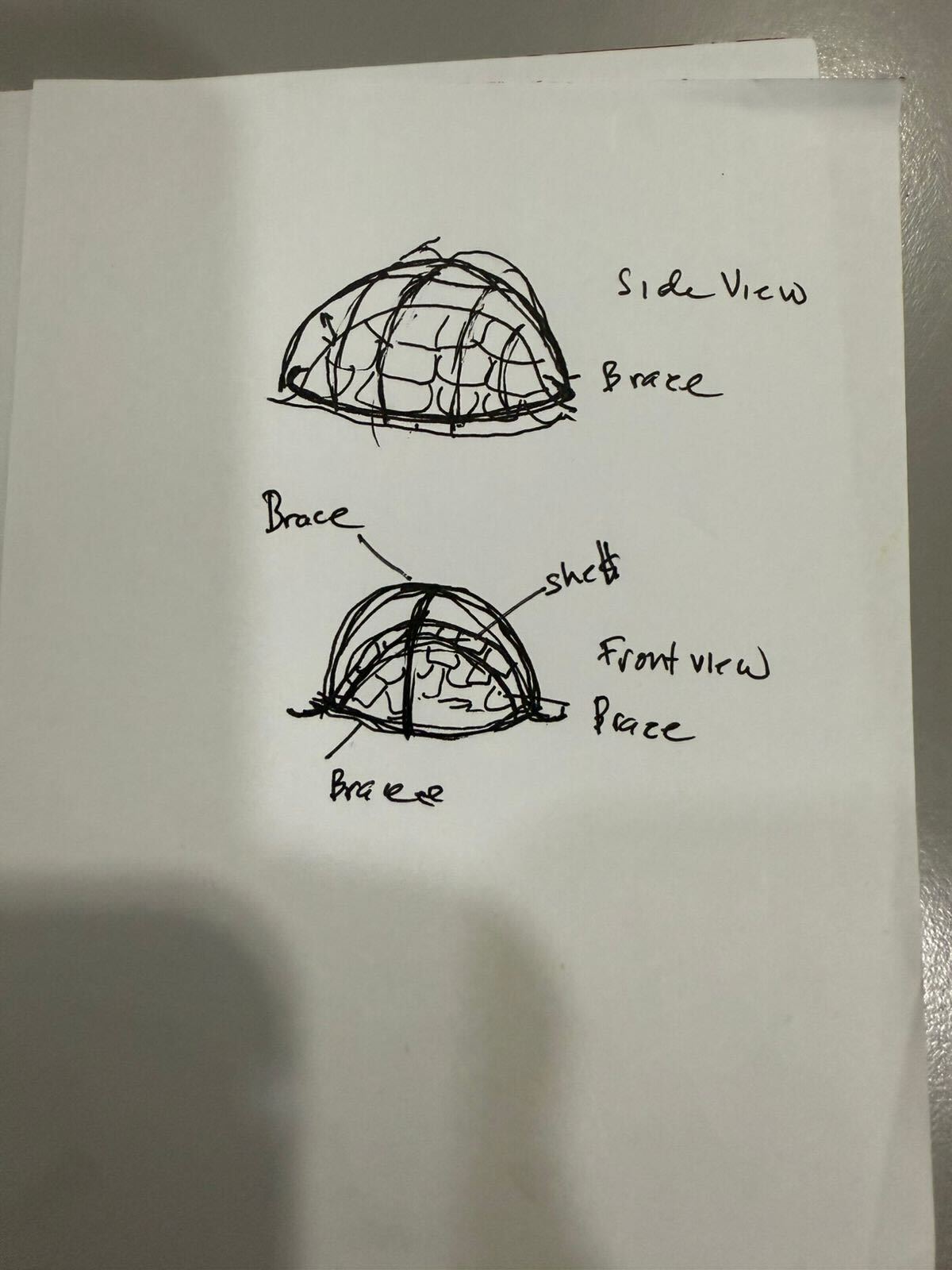a diagram of how to fix a turtle's shell