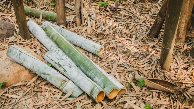 chopped bamboo pieces