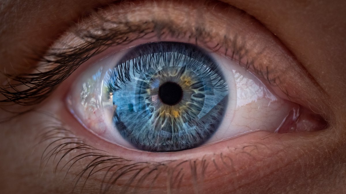 Humans have weirdly white eyes. Here’s why.