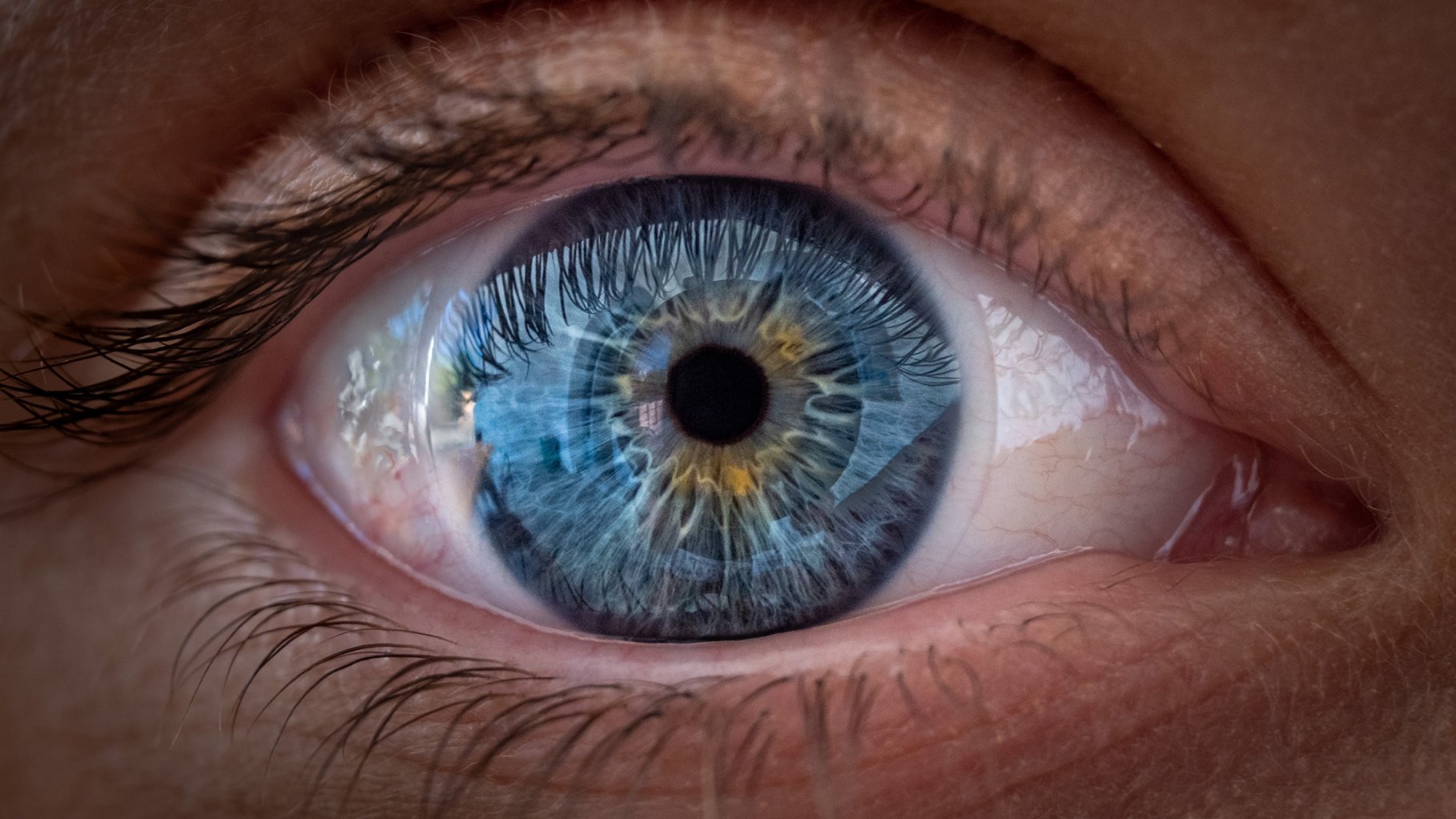 Beautiful female eye in close-up with light blue iris details