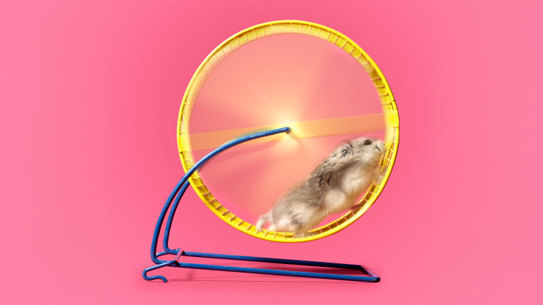 Hamster running on a yellow wheel against pink background