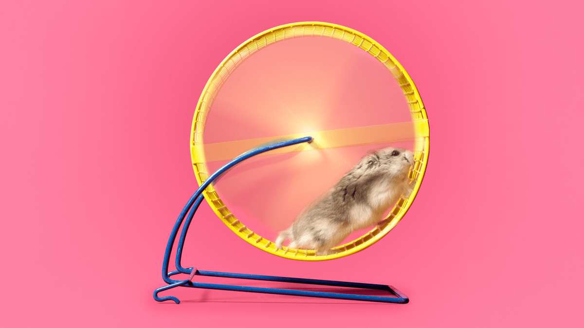 Hamsters run on wheels for a surprisingly joyful reason