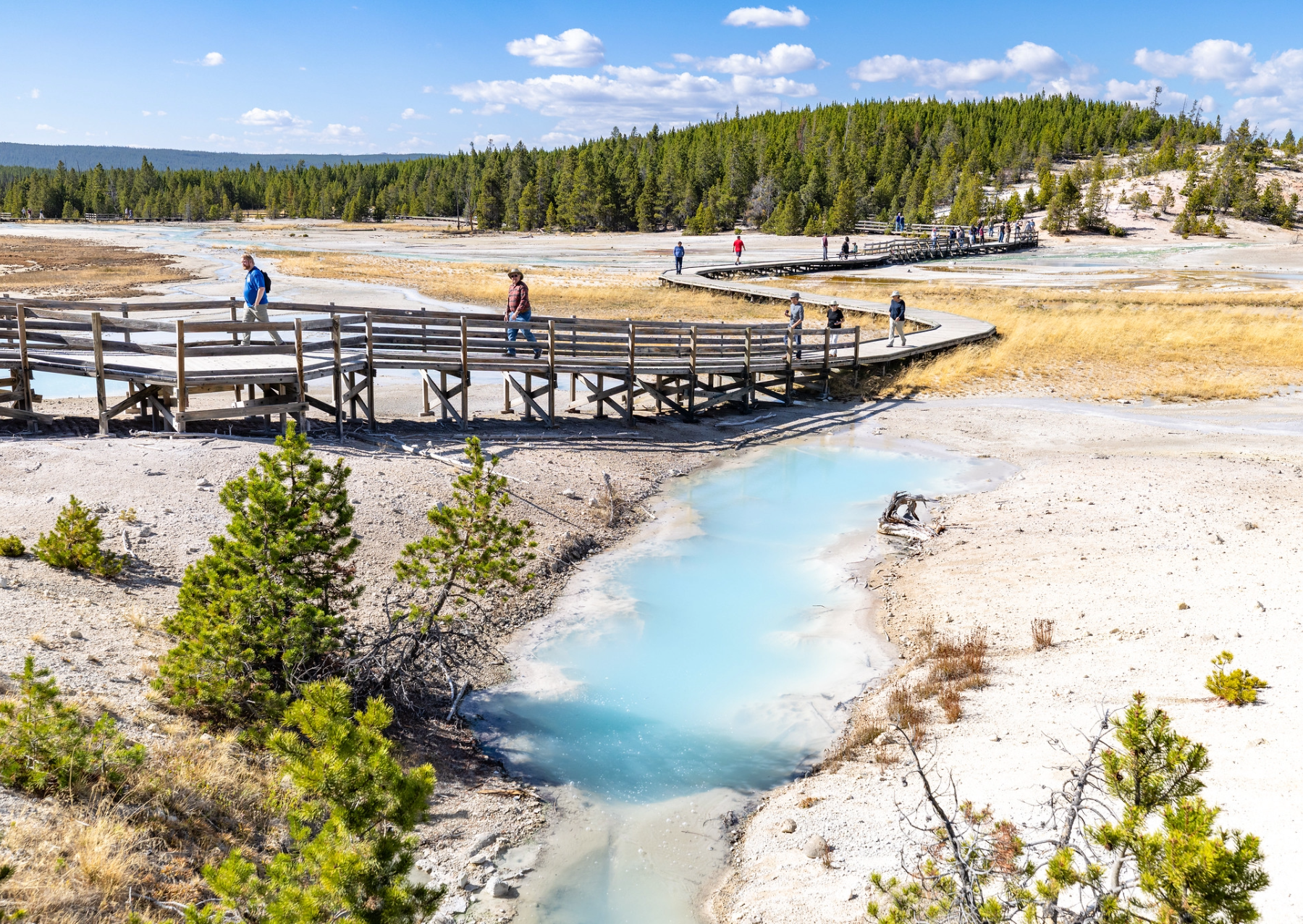 a boardwalk over a light blue hot spring and geyser