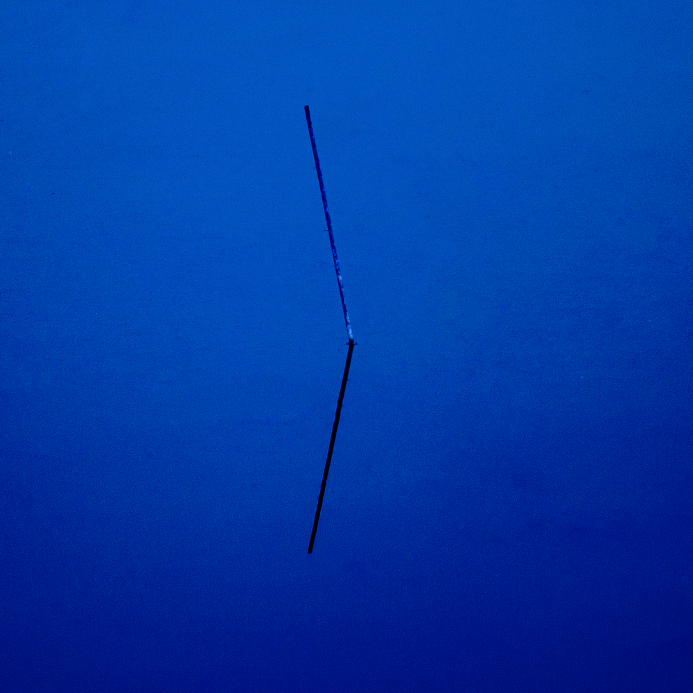 some kind of stick on blue