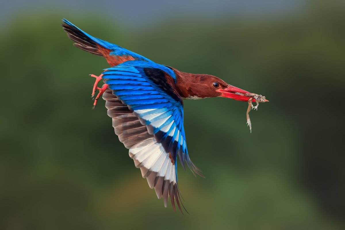 16 gorgeous images from the 1839 Awards’ Color Photography Contest