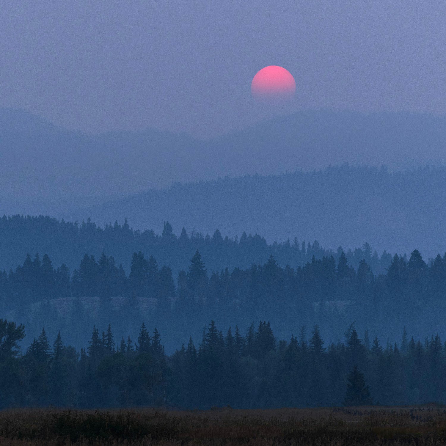 a red sun above a smoke-covered forest