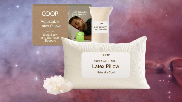 Coop Home Goods Adjustable Latex Pillow King