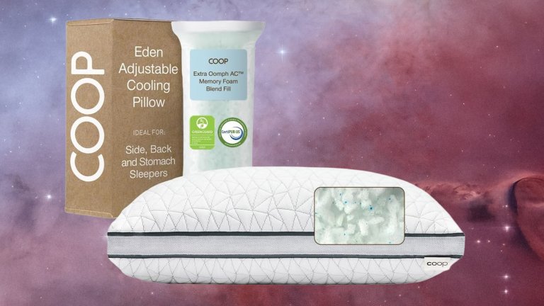 Coop Home Goods Eden Bed Pillow Queen Size for Sleeping on Back