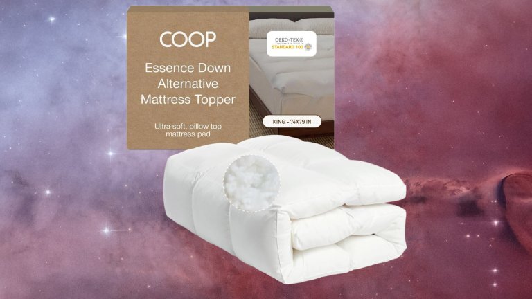 Coop Home Goods Essence Down Alternative Mattress Topper