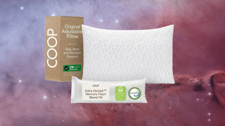 Coop Home Goods Original Adjustable Pillow