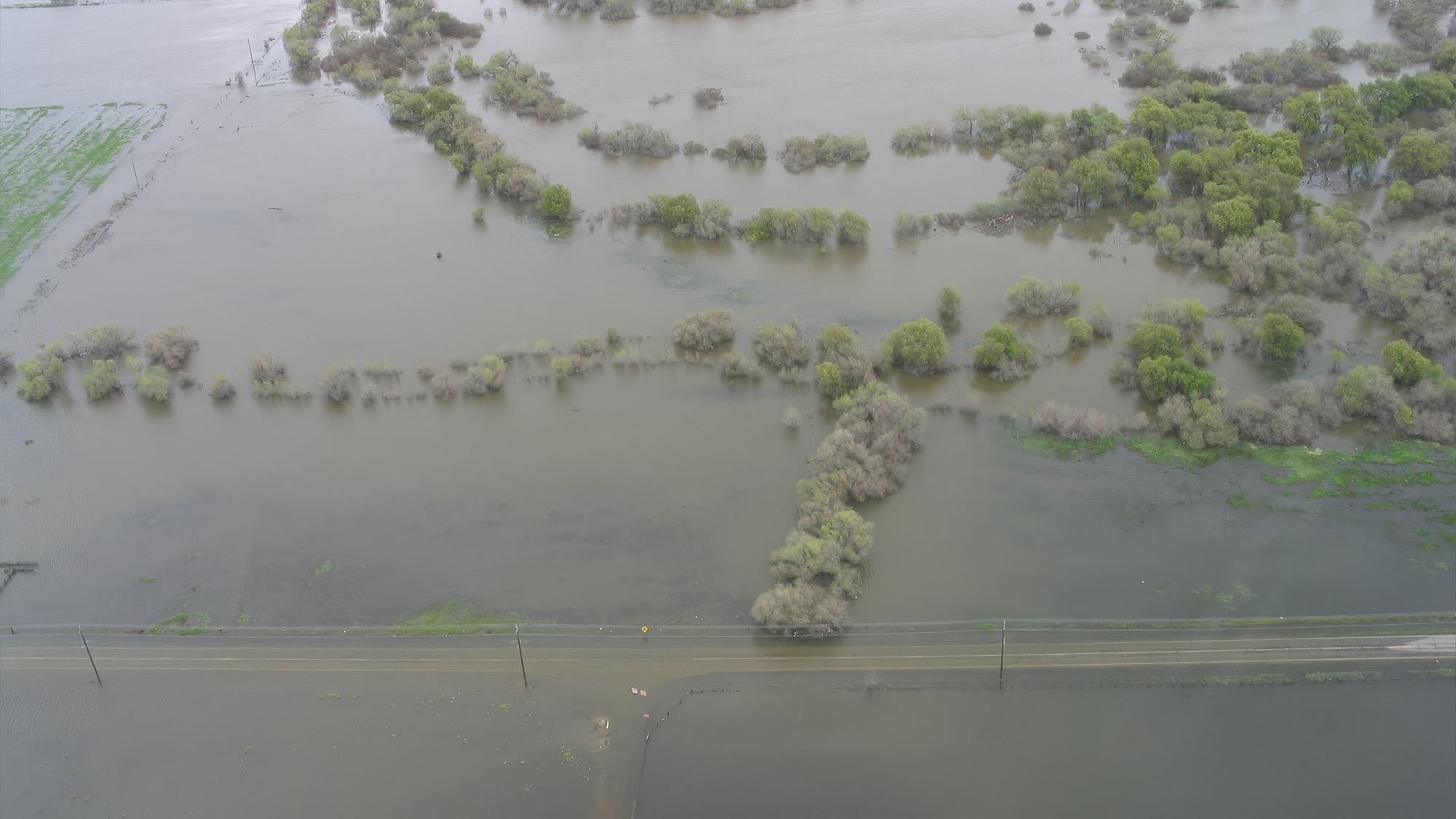 An aerial view of a flooded area, with trees and power lines visible.