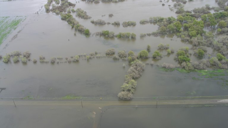 An aerial view of a flooded area, with trees and power lines visible.