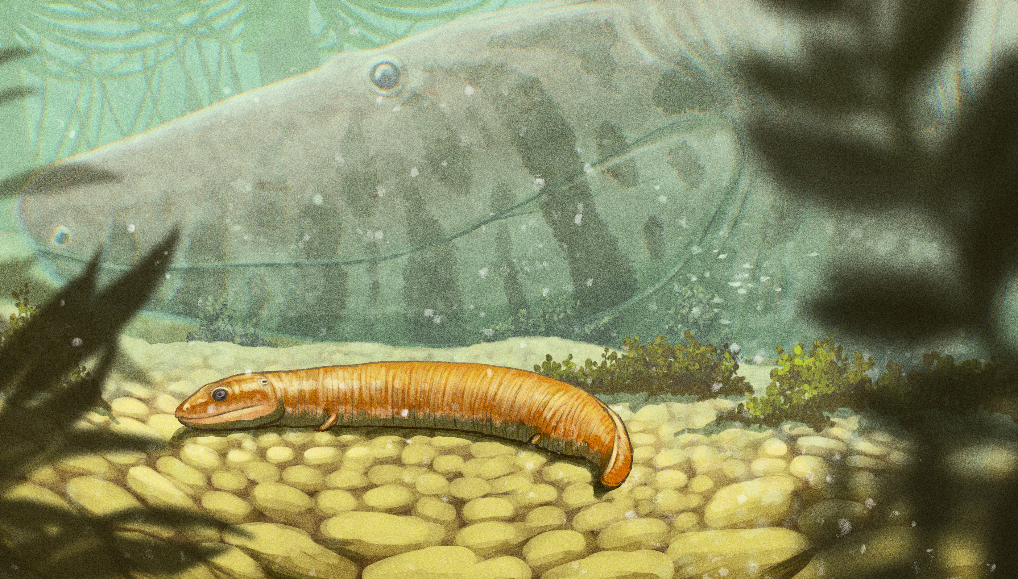 Illustration showing a small creature with an oval head and long body. An adult in the background shows a crocodile-like head.