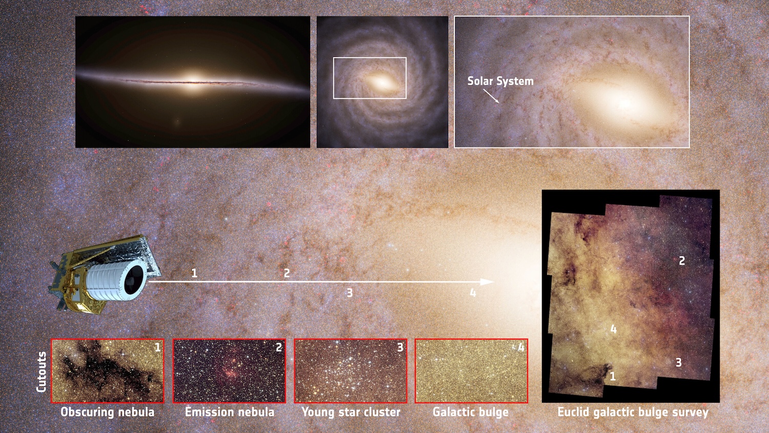 This infographic places Euclid’s galactic bulge survey in the broader context of the Milky Way’s structure, using data from ESA’s Gaia mission. The top row shows schematic views (artist impressions) of our spiral galaxy: an edge-on view highlighting the central bulge (top left), a top-down view revealing the spiral arms and the survey region (top centre), and a zoom into the galactic disc indicating the location of the Solar System (top right), from where Euclid observes the sky, which turns into the main background of the visual. The lower panel illustrates the diversity of objects captured by Euclid as it observed towards the galactic bulge in March 2025. Moving from left to right, the numbered cutouts highlight dense molecular clouds that obscure background starlight, a glowing emission nebula associated with recent star formation, a young star cluster, and finally the galactic bulge itself – a dense, spheroidal region containing ten billion stars. This crowded central region provides ideal conditions for detecting microlensing events. Credit: Euclid images: ESA/Euclid/Euclid Consortium/NASA, CFHT, image processing by J.-C. Cuillandre and E. Bertin (CEA Paris-Saclay); Milky Way artist impressions: ESA/Gaia/DPAC, Stefan Payne-Wardenaar)