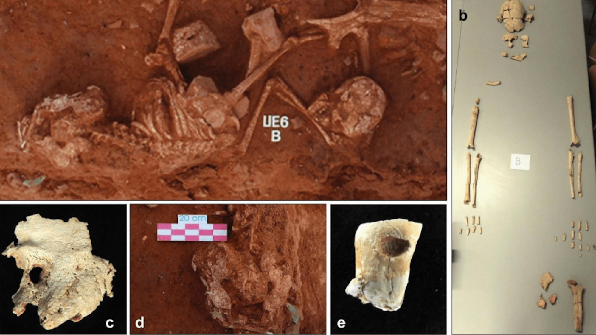 Images of skeletal remains recovered from Iberian Iron Age graves