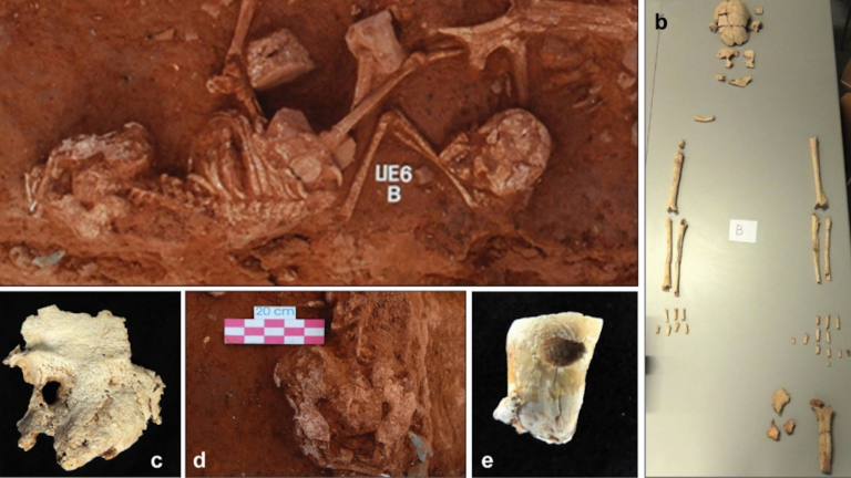 Images of skeletal remains recovered from Iberian Iron Age graves