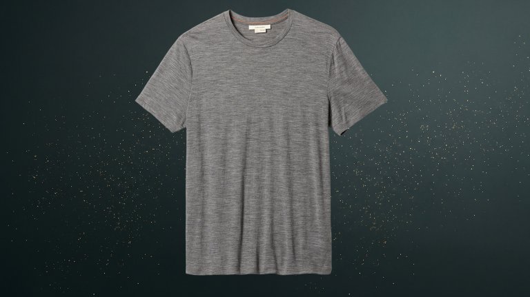 Icebreaker Merino 150 Tech Lite III T-Shirt